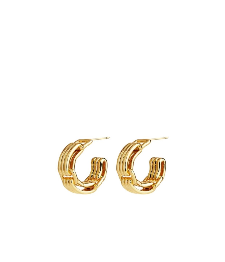 Accessories Rylan | Flat Link Hoop Earring In Gold